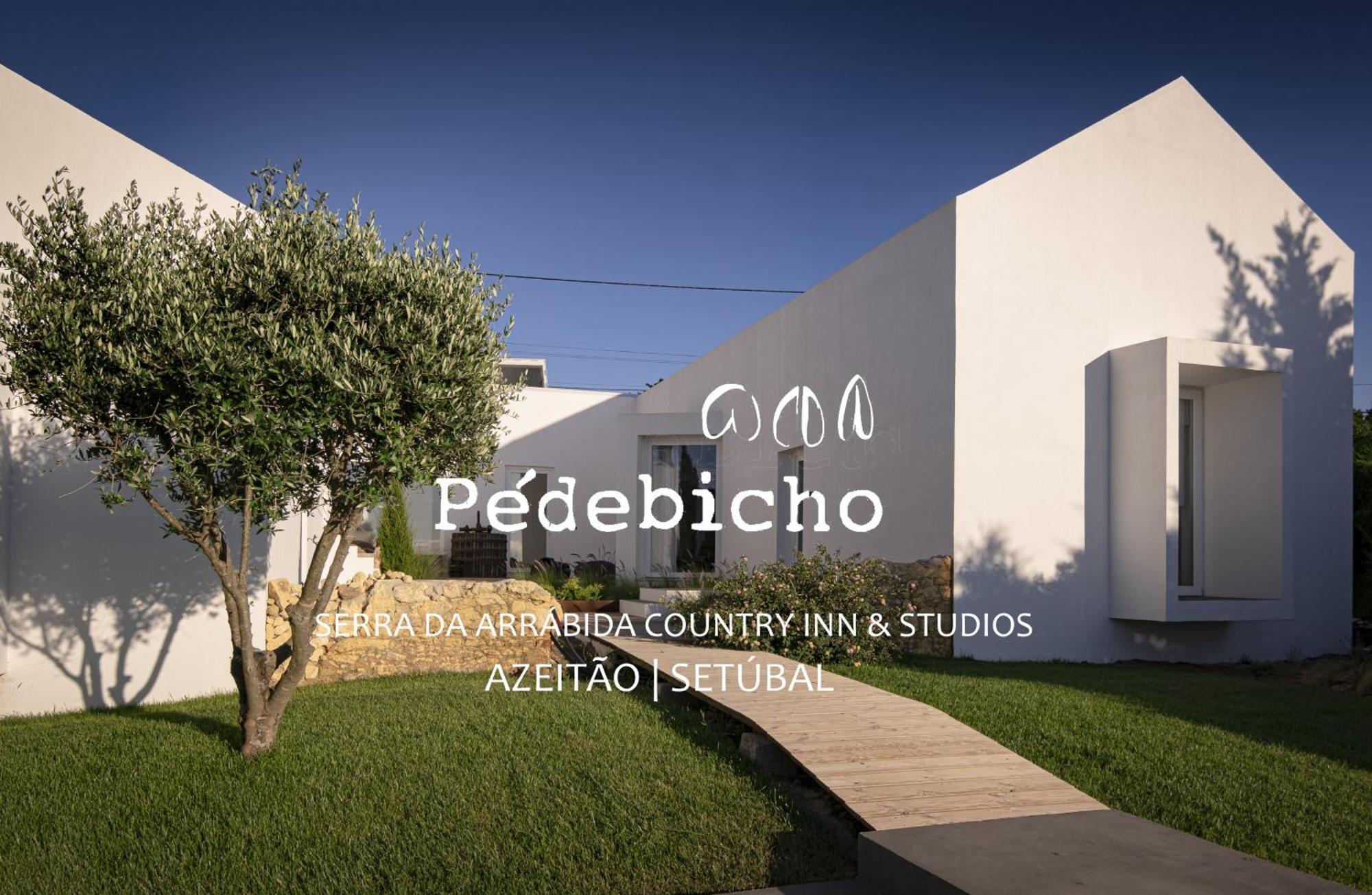Pedebicho Serra Da Arrabida Country Inn And Studios アゼイタオン エクステリア 写真