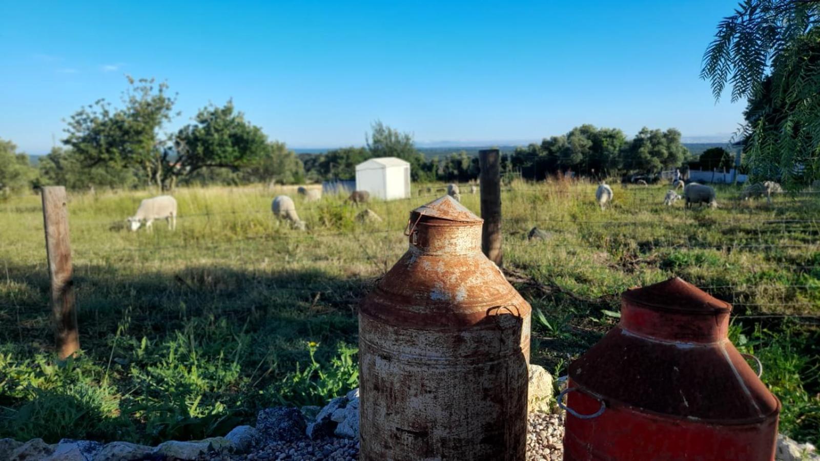 Pedebicho Serra Da Arrabida Country Inn And Studios アゼイタオン エクステリア 写真